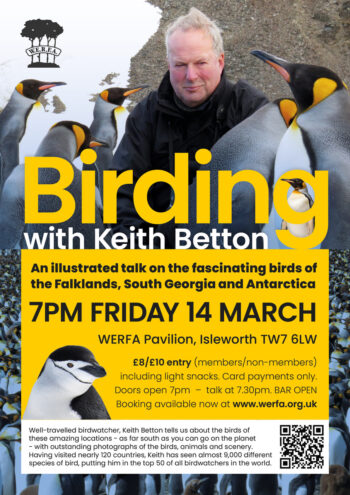 Birding with Keith Betton